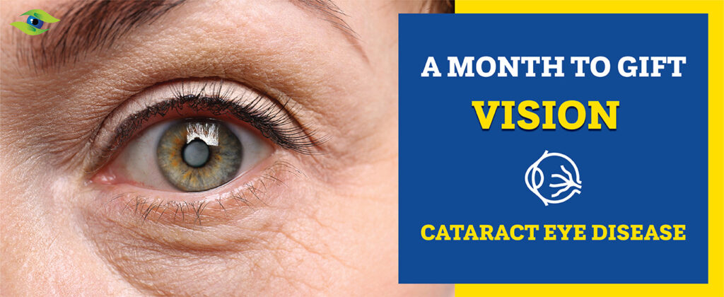 A Month to gift vision