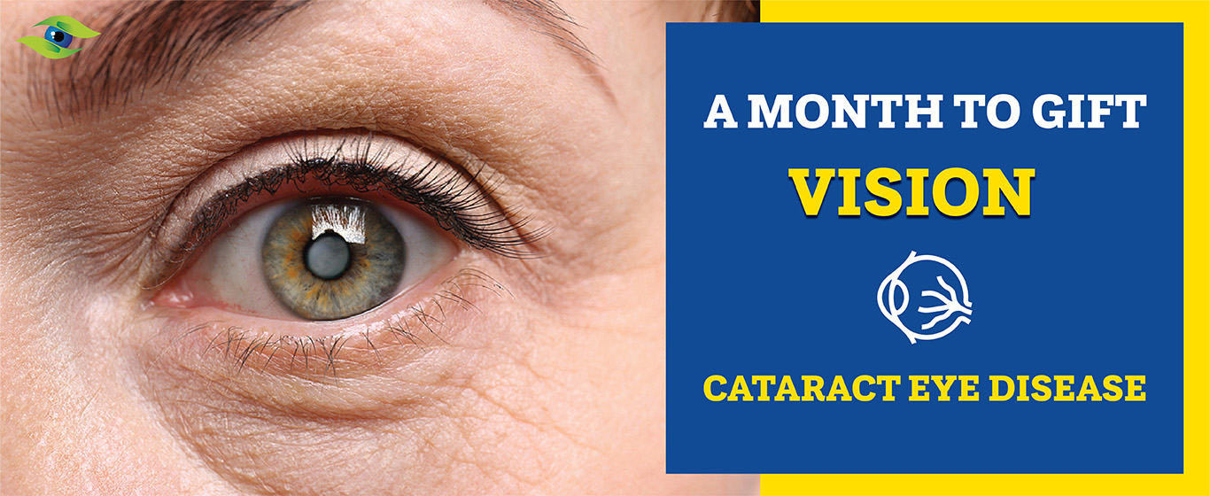 A Month to gift vision